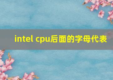 intel cpu后面的字母代表